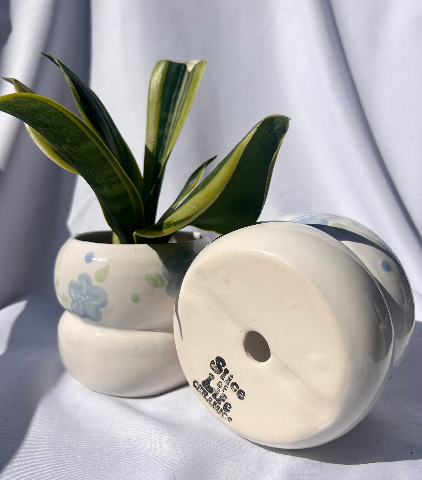 Mini Bubble Planter