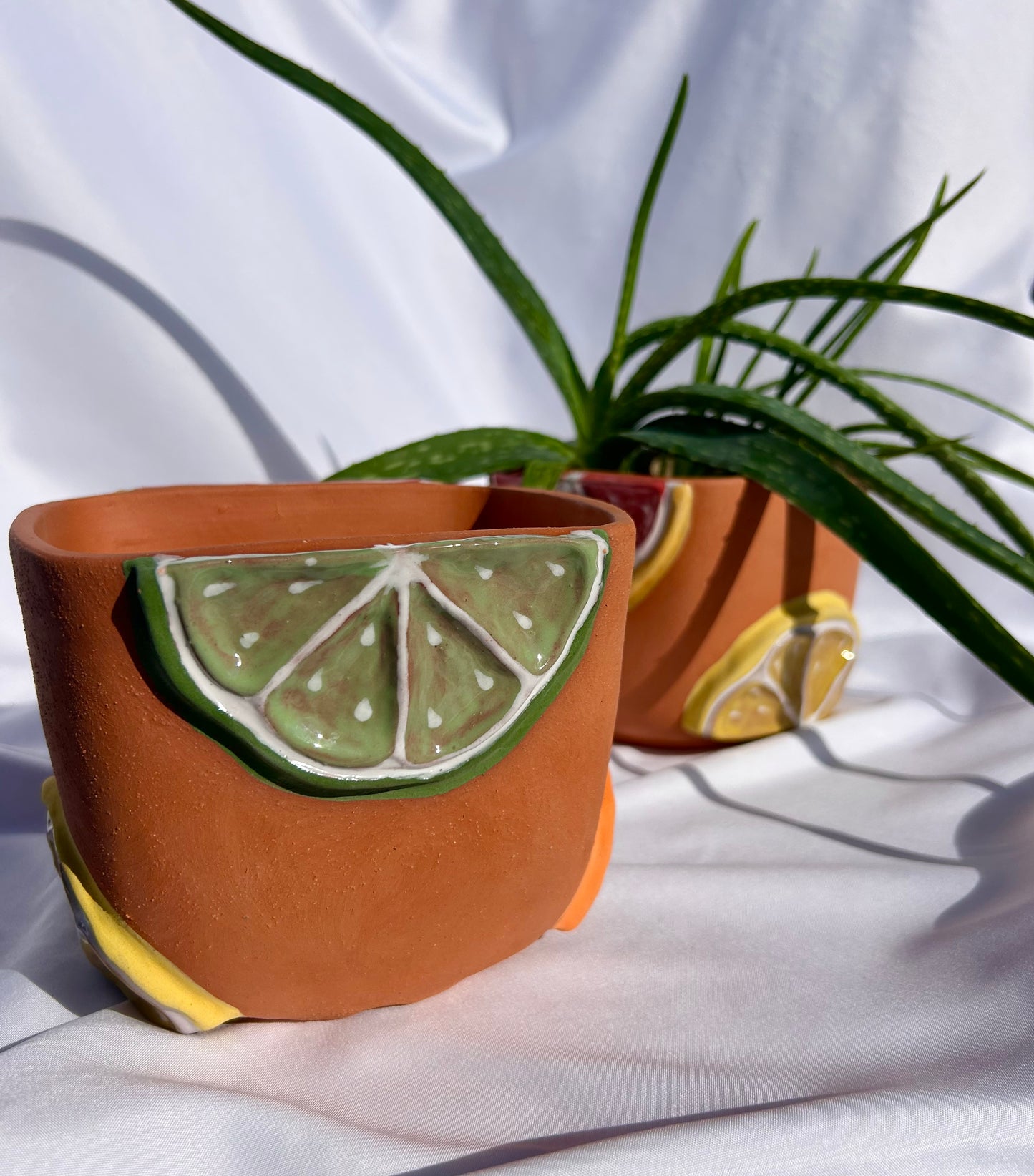 Simply Citrus Planter