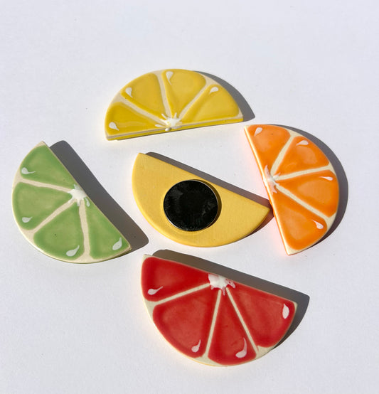 Pre Order Set of 4 Fruity Fridge Magnets