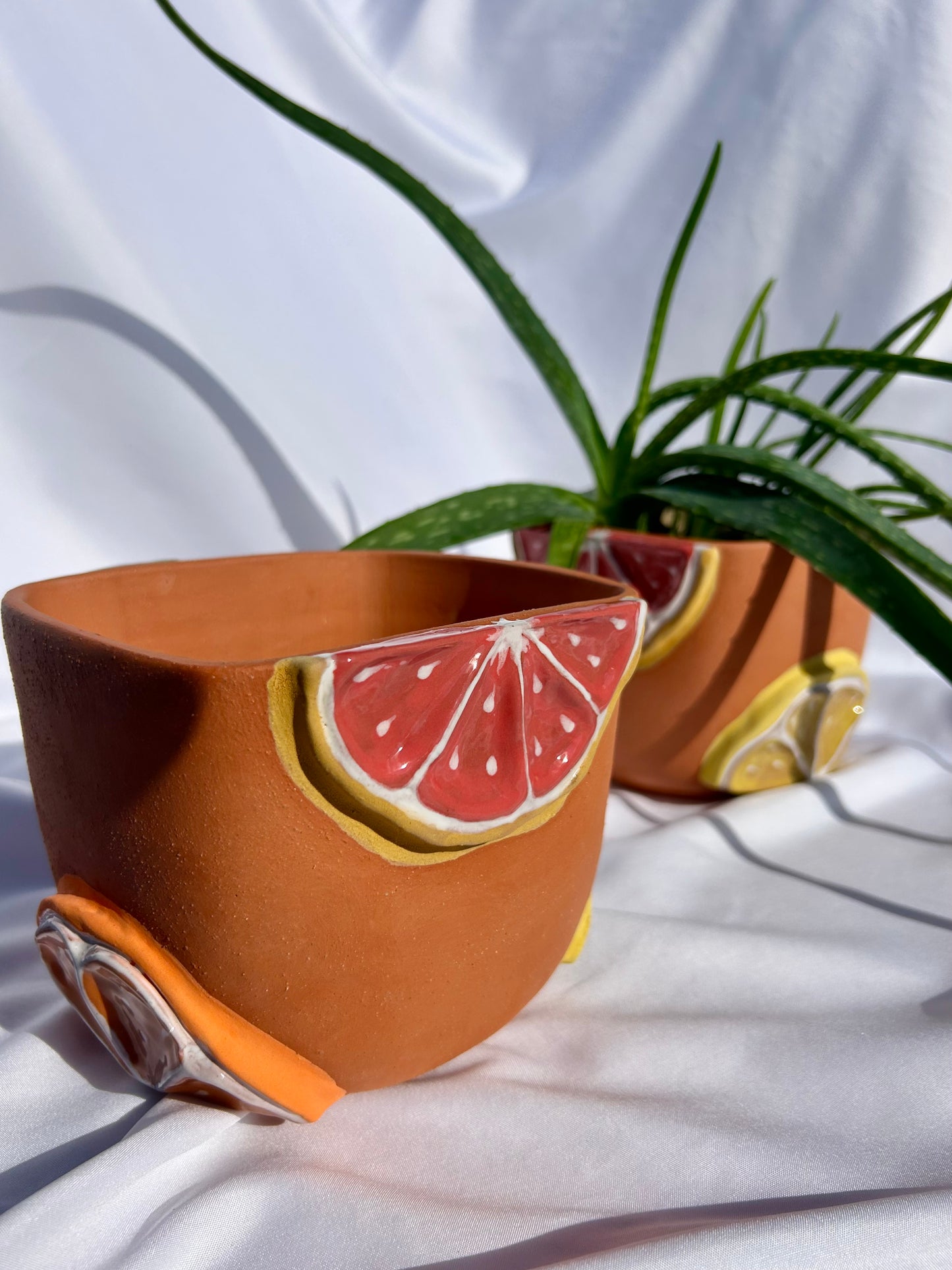 Simply Citrus Planter